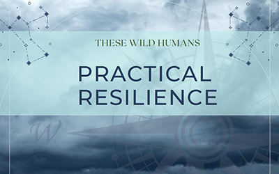 Practical Resilience